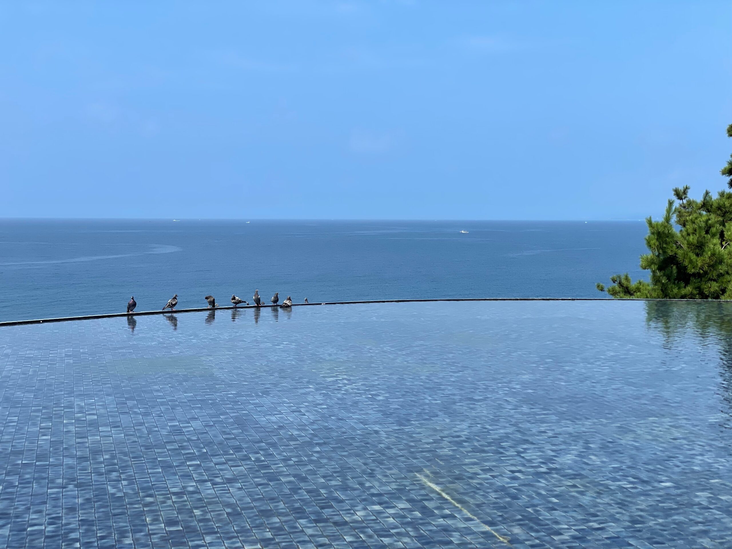 休日の過ごし方