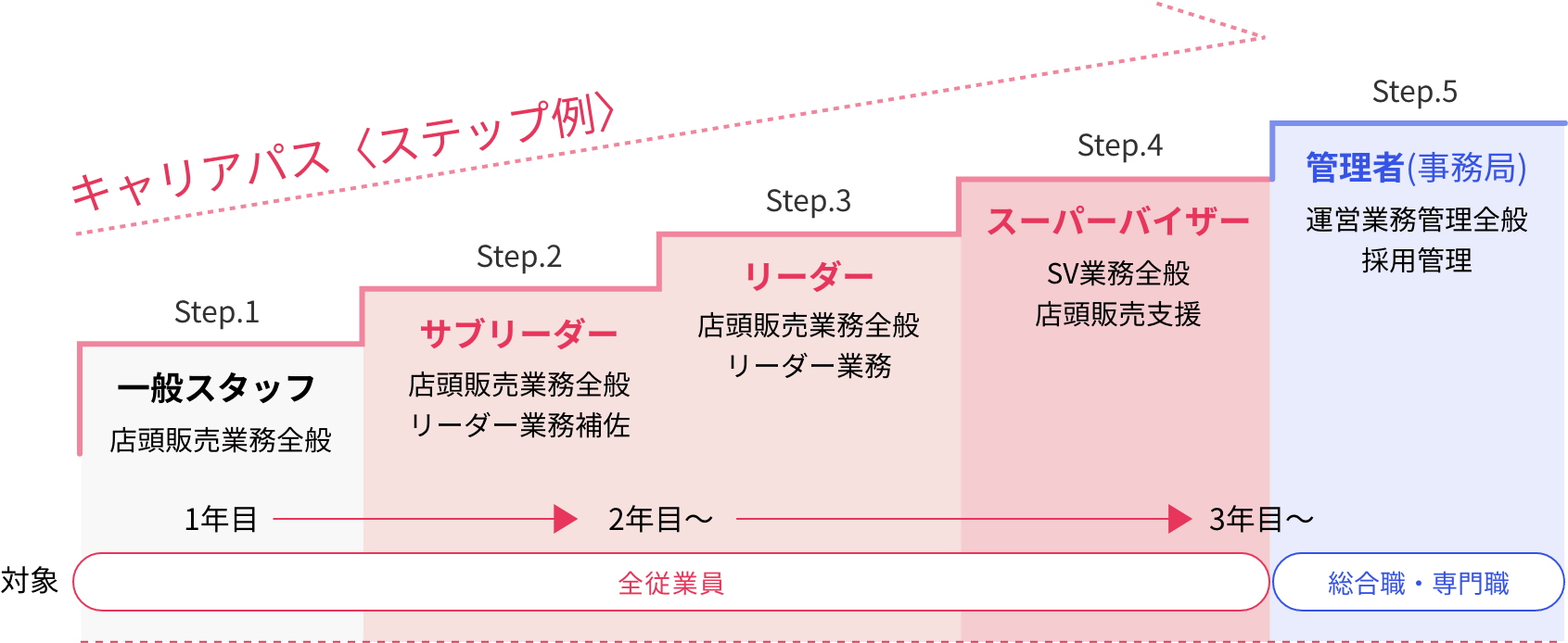 キャリアパス〈ステップ例〉